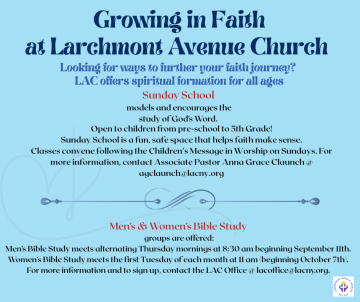 Website one third graphics (25)