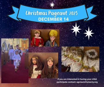 Website one third graphics (62)